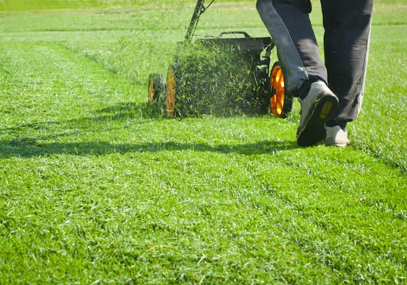 Elevate Your Outdoor Oasis: The Importance of Professional Lawn Care